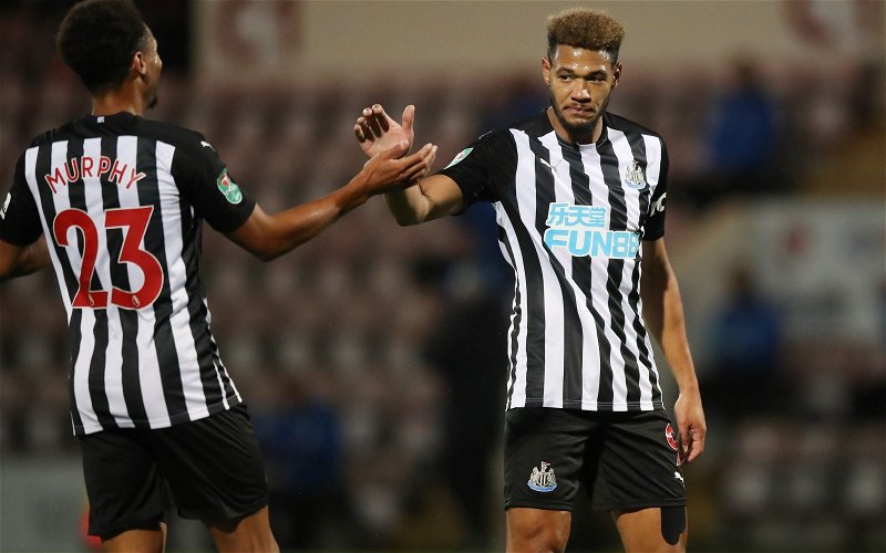 Image for Newcastle United: Fans slam Joelinton vs Saints