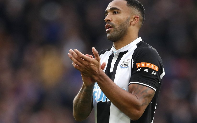 Image for Newcastle United: Fans defend Callum Wilson