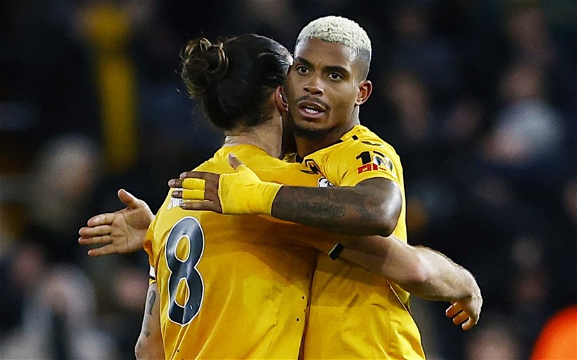 Image for Wolves: Mario Lemina performance lauded